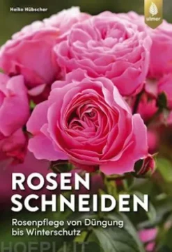Rosen schneiden