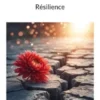 Résilience