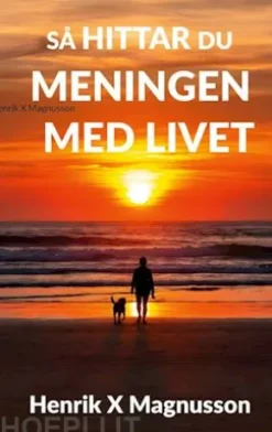 Så hittar du meningen med livet