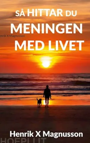Så hittar du meningen med livet