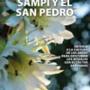 Sampi Y El San Pedro