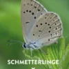 Schmetterlinge