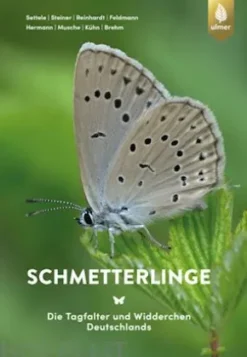 Schmetterlinge