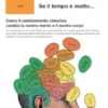 Se il tempo è matto...