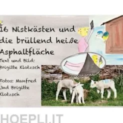 Sechszehn Nistkästen und die brüllend heiße Asphaltfläche
