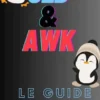 Sed Et Awk Le Guide Pratique Pour Les Debutants Sous Linux