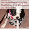 Sehnen und Sehnenscheidenentzündung beim Hund behandeln mit Homöopathie und Schüsslersalzen