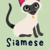 Siamese Gatto