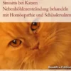 Sinusitis bei Katzen Nebenhöhlenentzündung behandeln mit Homöopathie und Schüsslersalzen