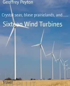 Sixteen Wind Turbines