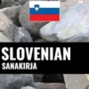 Slovenian sanakirja