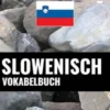 Slowenisch Vokabelbuch