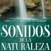Sonidos de la naturaleza: calma tu cuerpo con tranquilizadores sonidos de bosque y la cascada zen para la relajación, sueño profundo, meditación, concentración y yoga. Alcanza niveles más profundos de conciencia y vive tu mejor vida