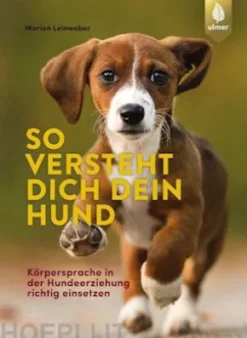 So versteht dich dein Hund