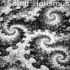 Spiral Holismus