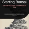 Starting Bonsai: A Practical Guide to a First Miniature Tree