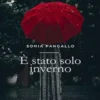 È stato solo inverno