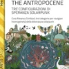 Staying with the Antropocene. Tre configurazioni di speranza Solarpunk