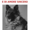 Storie di vita e di amore sincero