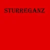 Sturreganz