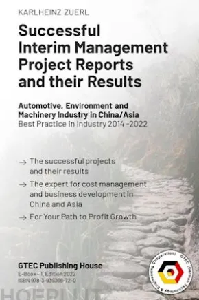 Successful Interim Management Project Reports and their Results