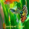Surprising and unusual rarities and creatures of the Animal Kingdom. Vol. 3
