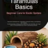 Tarantulas Basics: Beginner Care for Exotic Spiders
