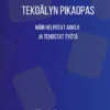 Tekoälyn pikaopas