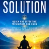 The Mindfulness Solution: Quick and Effective Techniques for Calm