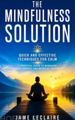The Mindfulness Solution: Quick and Effective Techniques for Calm