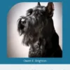 The Schnauzer Handbook