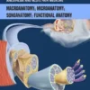 The Anatomical Foundations of Regional Anesthesia and Acute Pain Medicine