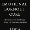 The Emotional Burnout cure