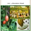 The Food of the Gods / A Popular Account of Cocoa