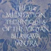 The 112 Meditation Techniques Of The Vigyan Bhairava Tantra