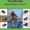 Theraphosidae
