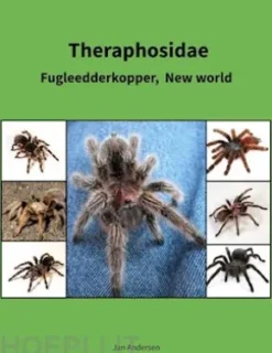 Theraphosidae