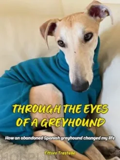 Through the Eyes of a Greyhound