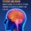 Thyroid and Brain Understanding the Actions of Thyroid Hormones in Brain Development and Function