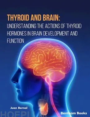 Thyroid and Brain Understanding the Actions of Thyroid Hormones in Brain Development and Function