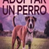 Todo lo que necesitas saber sobre adoptar un perro