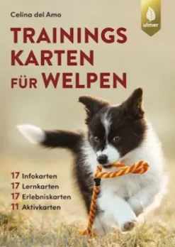 Trainingskarten für Welpen