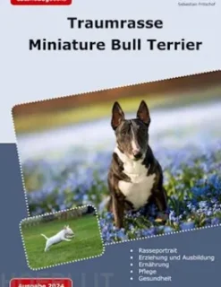 Traumrasse Miniature Bull Terrier