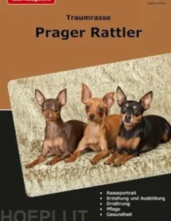 Traumrasse Prager Rattler
