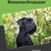 Traumrasse Riesenschnauzer