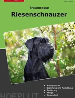 Traumrasse Riesenschnauzer