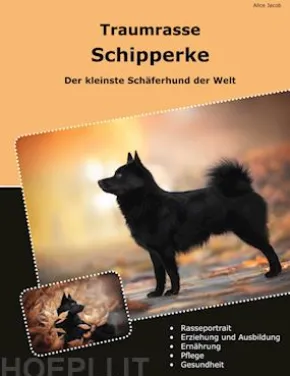 Traumrasse Schipperke