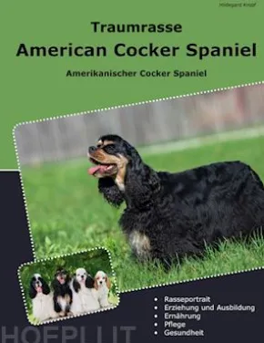 Traumrasse American Cocker Spaniel