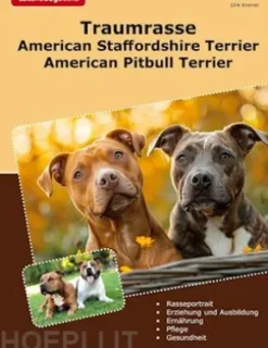 Traumrasse American Staffordshire Terrier