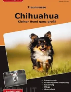 Traumrasse: Chihuahua